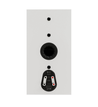 Boxe de raft Monitor Audio Silver 100 8G [2]