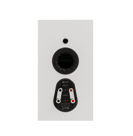 Boxe de raft Monitor Audio Silver 50 8G [2]
