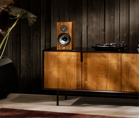 Boxe de raft Polk Audio RESERVE R200 [3]