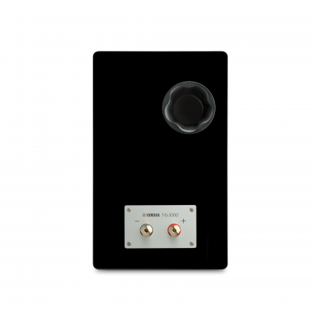 Yamaha NS-3000 [3]