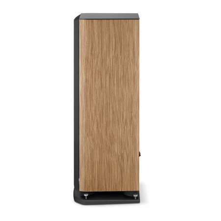Boxe Focal ARIA EVO X NÂ°2 [4]