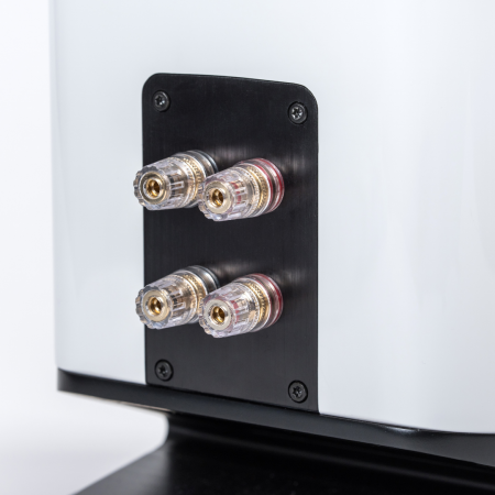 Boxe pasive ELAC Vela BS 403 [11]