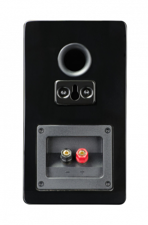 Boxe SVS Prime Satellite [1]