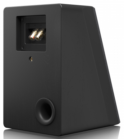 Boxe Dolby Atmos SVS Ultra Elevation [1]