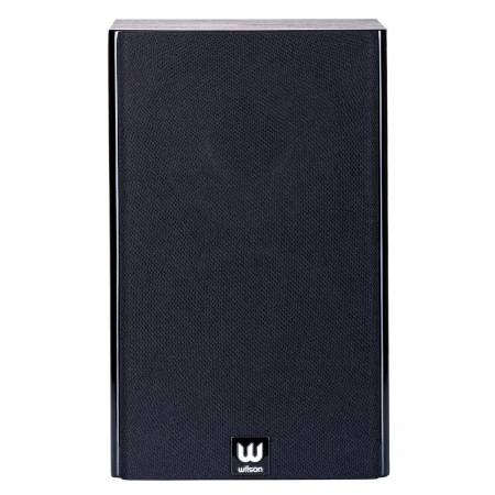 Boxe Wilson RAPTOR MINI [4]