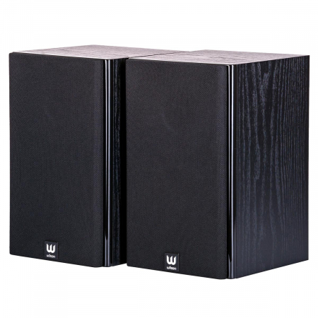 Boxe Wilson RAPTOR MINI [1]