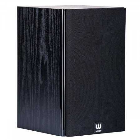 Boxe Wilson RAPTOR MINI [5]