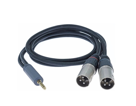 Accesorii audio - Cablu iFi 4.4 мм M - 2х XLR F SE 1m