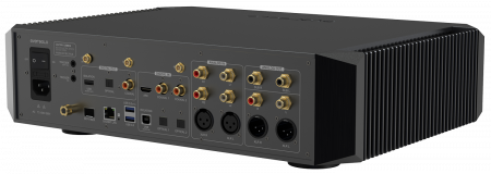 EverSolo DMP-A10 [2]