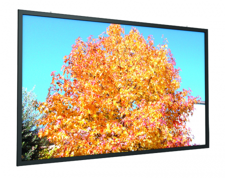 Ecrane Videoproiectoare - Panza proiectie Screenint ACCECR-FLATMAX500REAR