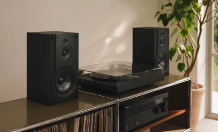Pick-up Sony PS-LX5BT [9]