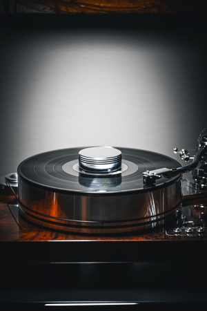 Alte accesorii - Puck pentru discuri pick-up ProJect Record Puck RS Brass