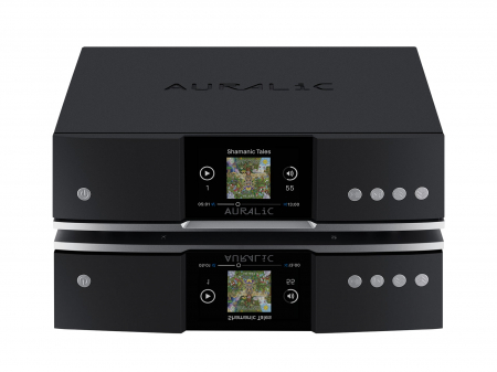 Streamer Auralic Aries G1.1 [2]