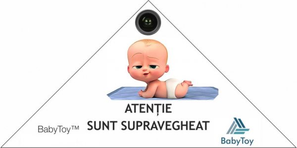Set Baby Monitor Wireless Sricam™ SH020 Plus SriHome, FullHD 2MP, Monitorizare Video Audio Bebelusi , Auto Tracking, Vedere Nocturna, Audio-Video, Sunet bidirectional, Rotire automata, rezolutie 1920* [6]