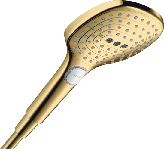 PARA RAINDANCE SELECT E120  3 JET, POLISHED GOLD OPTIC [1]
