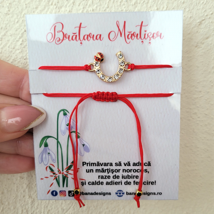 Bratara Martisor infinit argintiu cu buburuza si cristale, cu snur ajustabil [3]