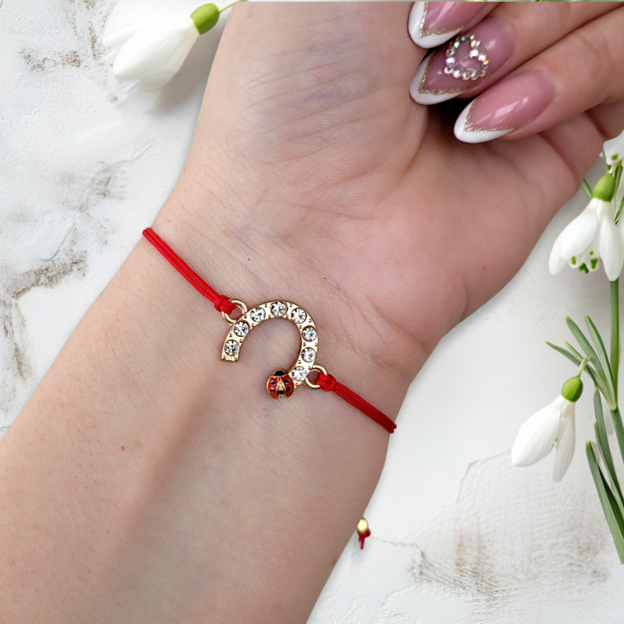 Bratara Martisor infinit argintiu cu buburuza si cristale, cu snur ajustabil [4]