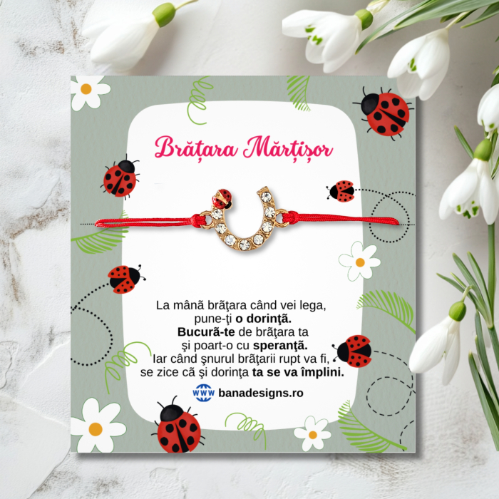 Bratara Martisor infinit argintiu cu buburuza si cristale, cu snur ajustabil [3]