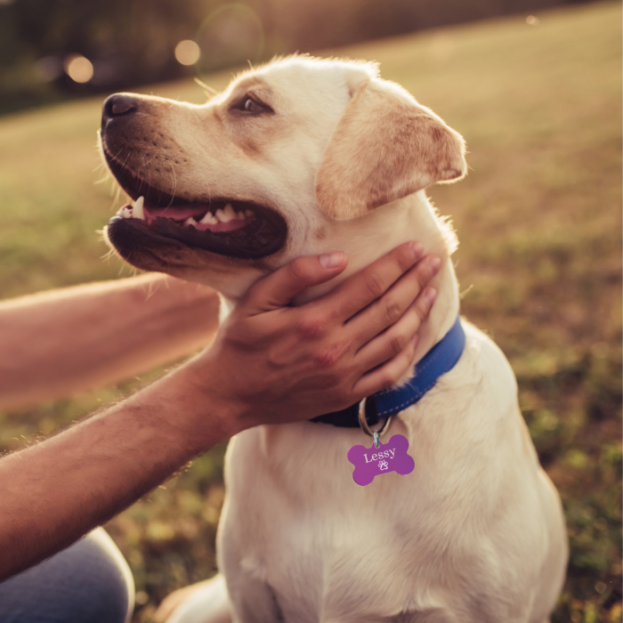 Dog tag personalizat mov, medalion pentru catei in forma de os, gravat cu nume si simbol [3]