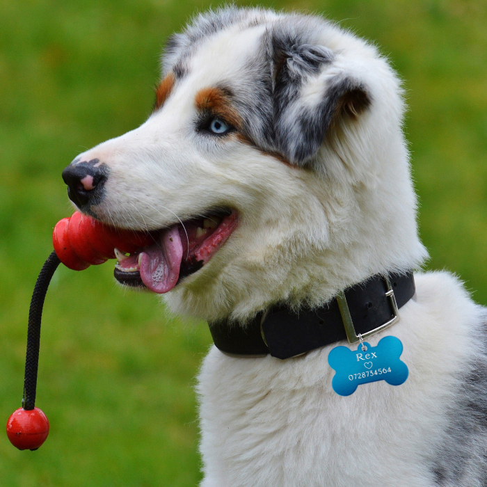 Dog tag personalizat turcoaz, medalion pentru catei in forma de os, gravat cu nume si simbol [2]