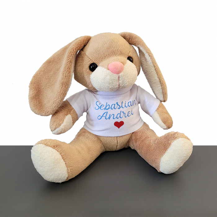 Iepuras din plus, cu tricou personalizat, jucarie Paste [2]