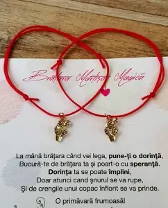 Bratari Martisor - Bratara Martisor cu cactus placat cu aur, cu snur ajustabil