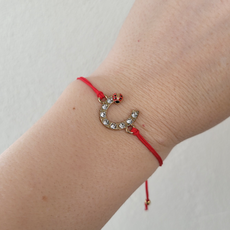 Bratara Martisor infinit argintiu cu buburuza si cristale, cu snur ajustabil [4]