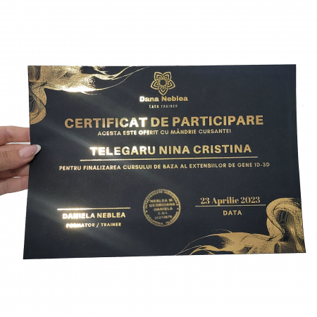 Diploma personalizata pentru cursuri, hartie neagra, cu folio auriu [1]