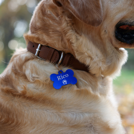 Medalion animale - Dog tag personalizat albastru, medalion pentru catei in forma de os, gravat cu nume si simbol