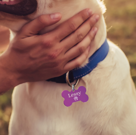 Medalion animale - Dog tag personalizat mov, medalion pentru catei in forma de os, gravat cu nume si simbol