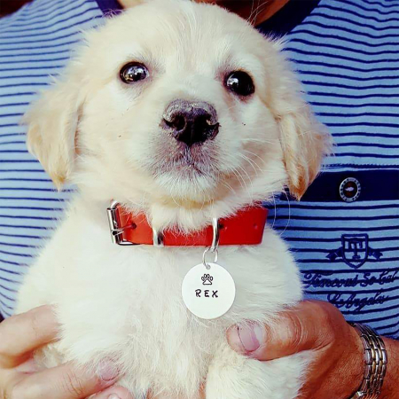 Medalion animale - Dog tag personalizat, cu nume simbol, medalion pentru animale de companie, gravat pe banut din aluminiu