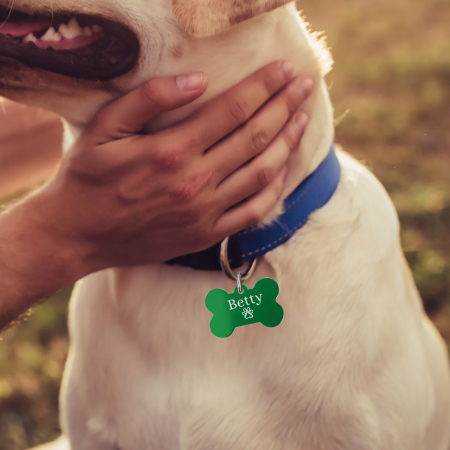Medalion animale - Dog tag personalizat verde, medalion pentru catei in forma de os, gravat cu nume si simbol