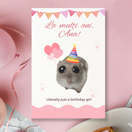Felicitari - Felicitare zi de nastere cu hamster, just a girl, Sad hamster meme