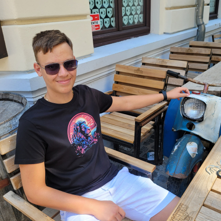 Tricou Lion in the Sunset, cu design leu, din bumbac negru, pentru bărbați [1]