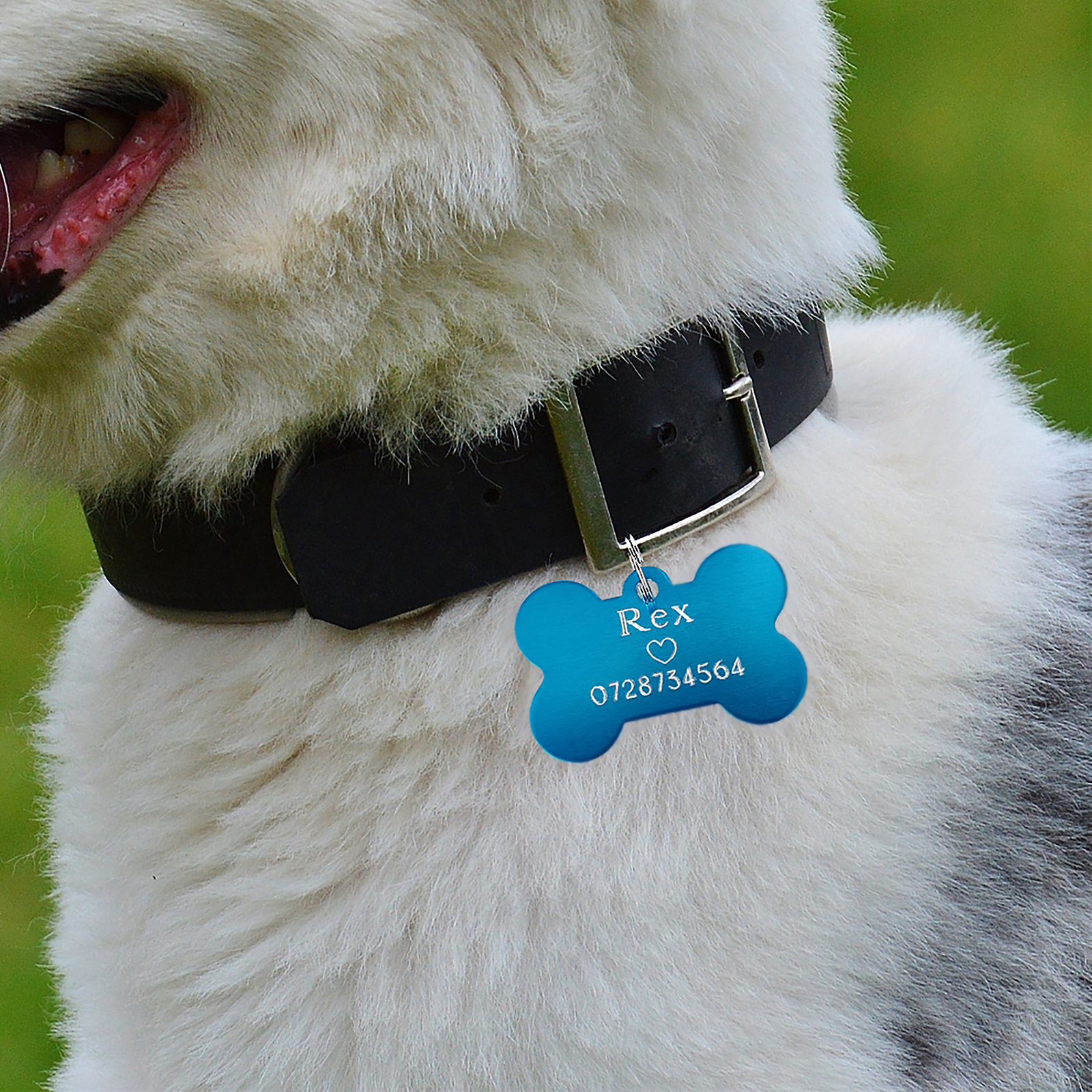 Dog tag personalizat turcoaz, medalion pentru catei in forma de os, gravat cu nume si simbol