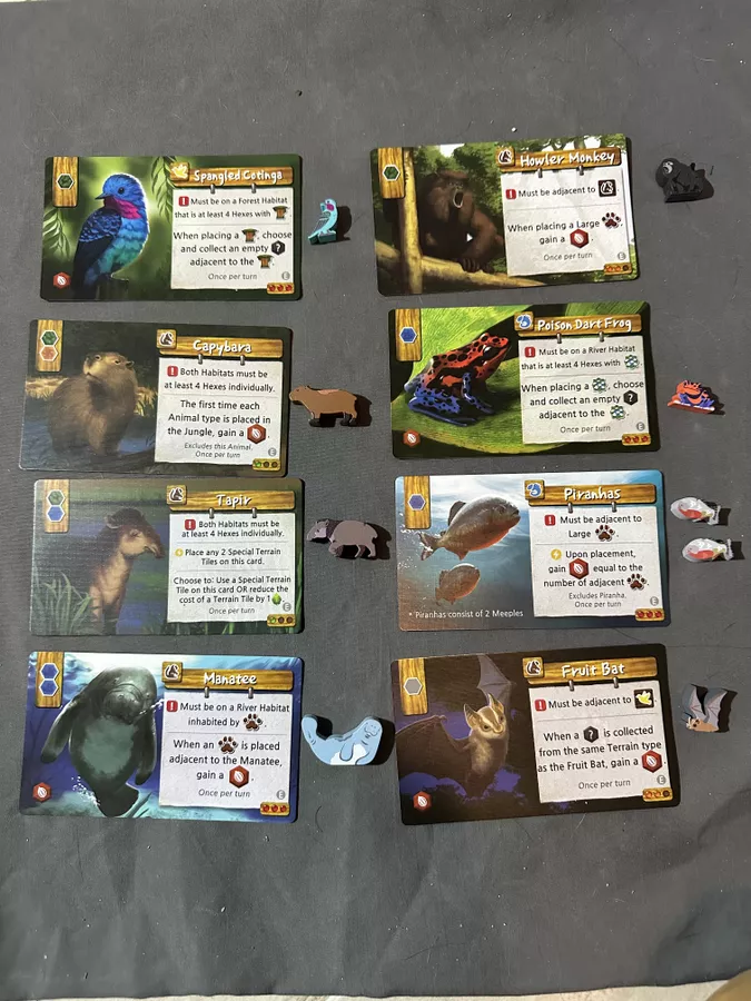 Life of the Amazonia: Mini-Expansion [3]