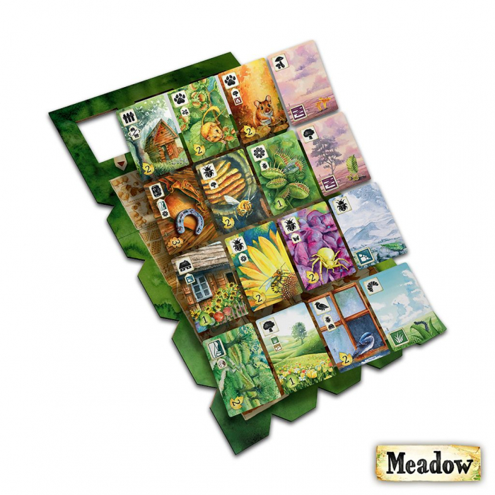 Meadow [4]