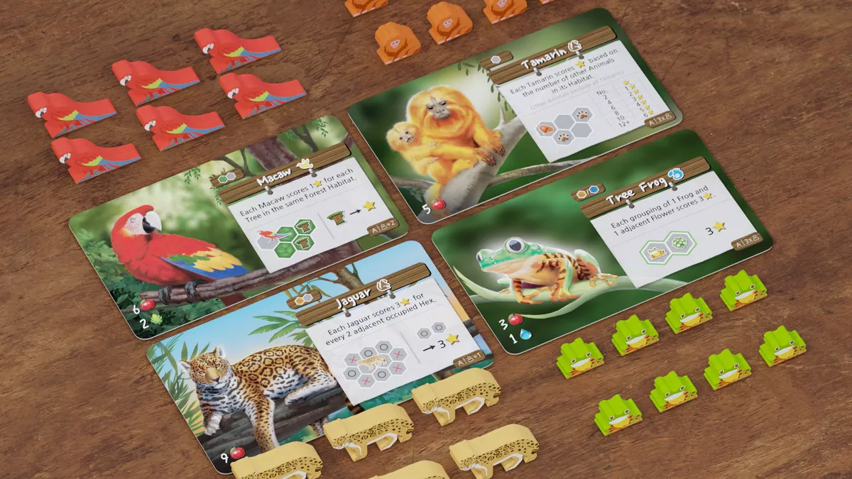 Life of the Amazonia [3]
