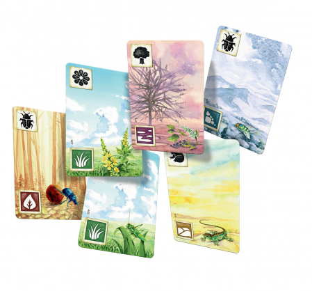 Meadow [5]