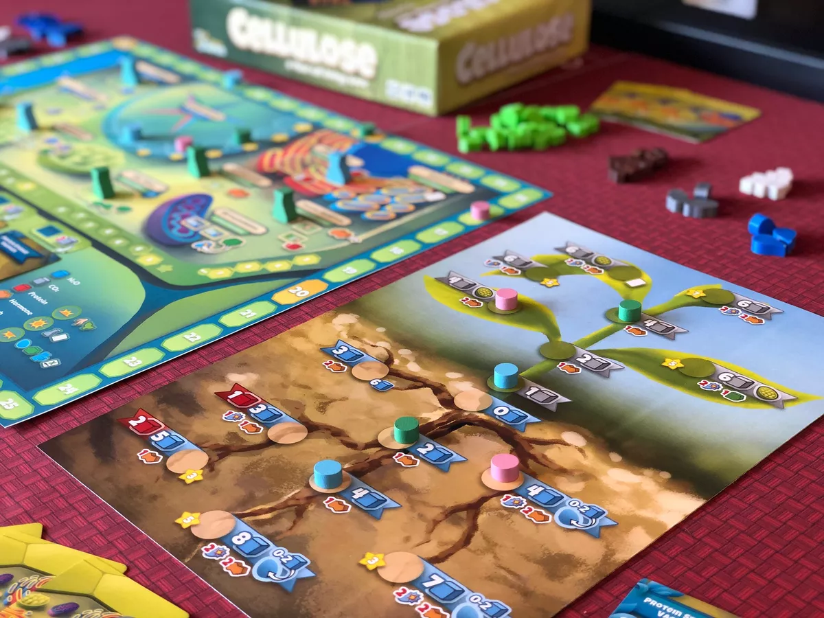 Cellulose: A Plant Cell Biology Game [1]