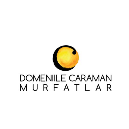 Domeniile Caraman