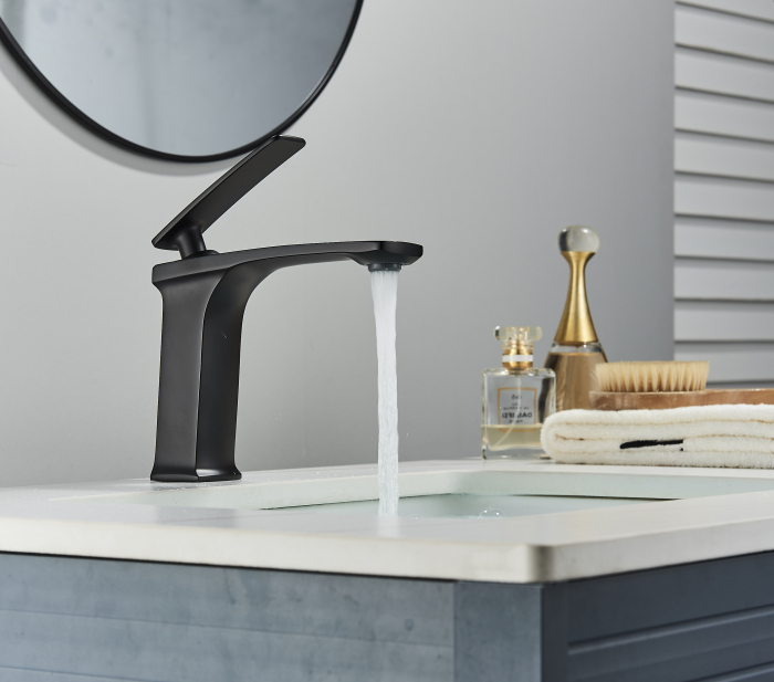 Baterie lavoar neagra [3]