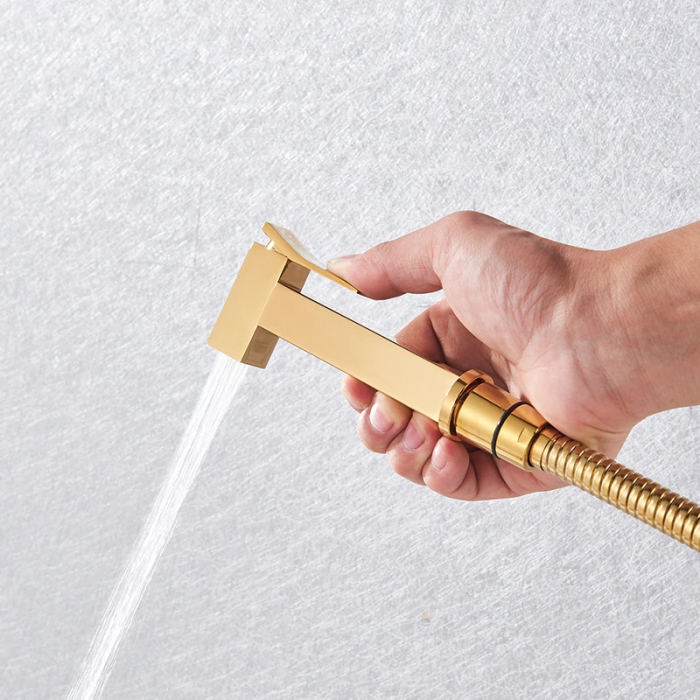 Dus igienic auriu lucios, design deosebit. Nova gold [4]