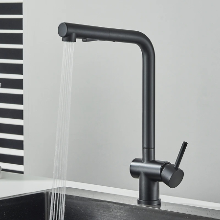 Baterie bucatarie negru cu furtun extractibil si 2 functii de curgere [2]