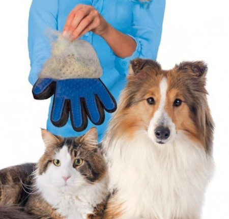 Manusa periat animale de companie [1]