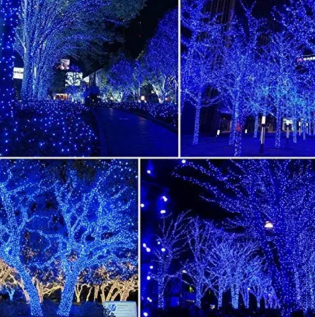Ghirlanda luminoasa pentru gradina cu incarcare solara, 10 metri, 100 LED, albastru [3]