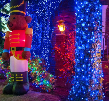 Ghirlanda luminoasa pentru gradina cu incarcare solara, 10 metri, 100 LED, albastru [2]