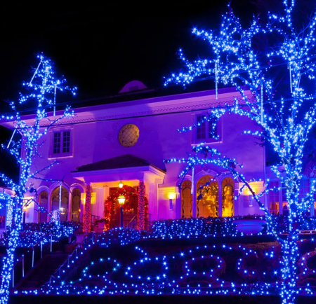 Ghirlanda luminoasa pentru gradina cu incarcare solara, 10 metri, 100 LED, albastru [1]