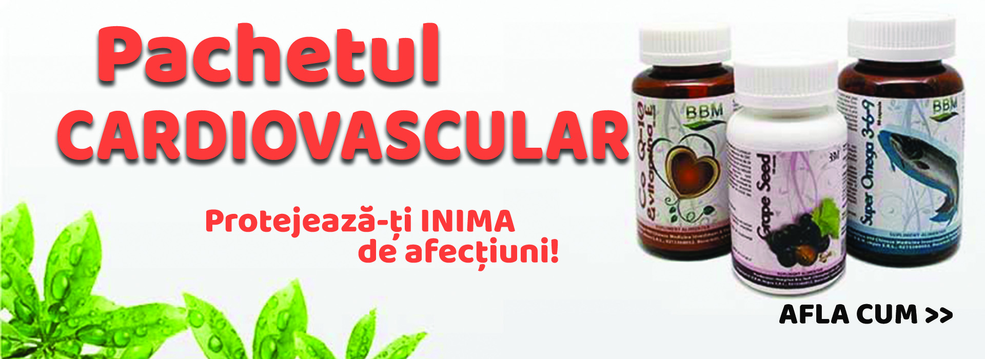 Pachetul Cardiovascular