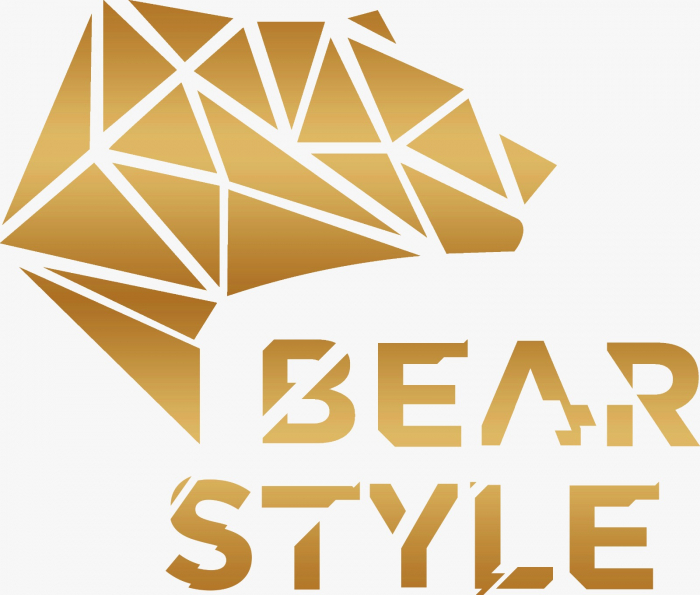 Hanorac cu gluga, logo BearStyle [2]